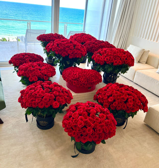 Lujo 1000 rosas rojas