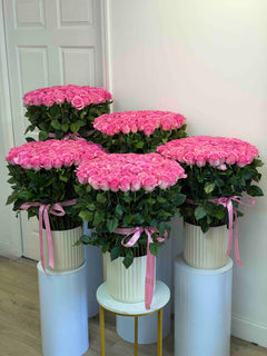
                    
                      Rosas rosadas de Le Boutique Royal
                    
                  