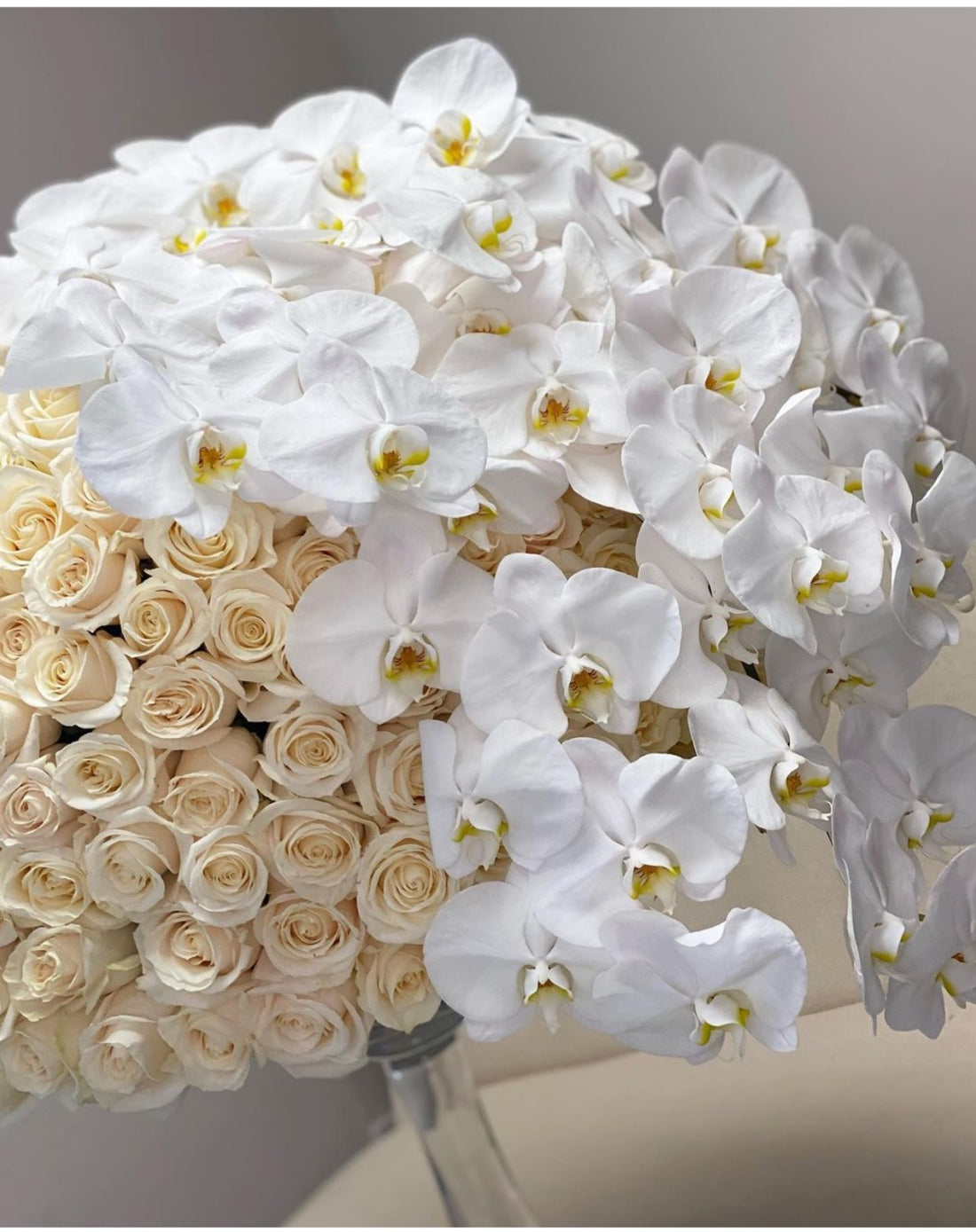 white orchids