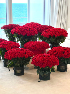 
                    
                      Luxury 1000 red roses
                    
                  