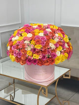 Flores multicolores