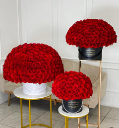 
                    
                      100 rosas rojas premium
                    
                  