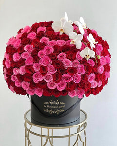 
                    
                      pink and red roses
                    
                  