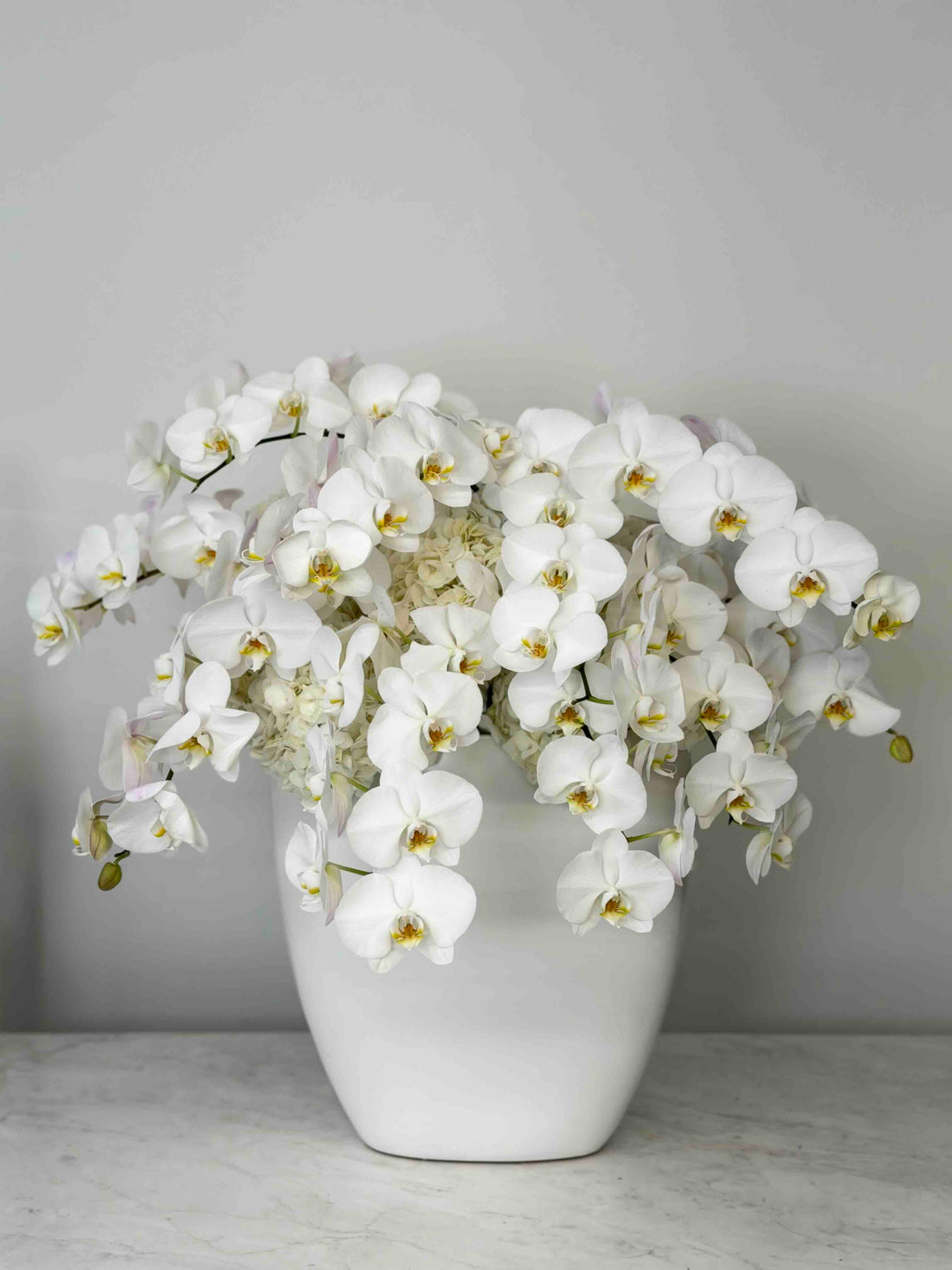 Luxury white Phalaenopsis orchid arrangement with cascading orchid stems and white hydrangeas in a modern white ceramic vase