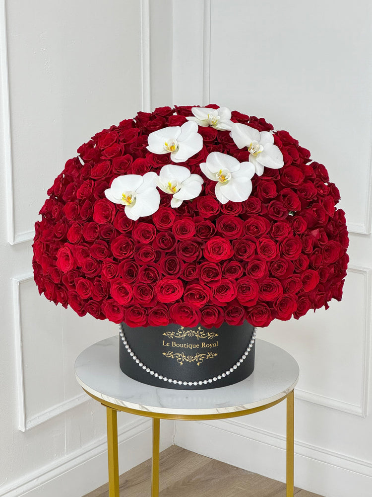Arreglo de lujo en forma de cúpula de 500 rosas rojas con orquídeas blancas en una caja exclusiva Le Boutique Royal