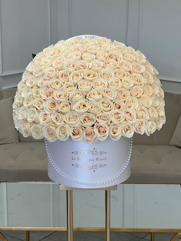 100 rosas blancas premium en una caja blanca