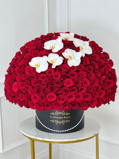 
                    
                      500 Rosas Rojas de Lujo con Orquídeas
                    
                  