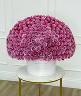 Signature Deep Purple Roses