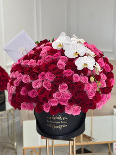 
                    
                      pink and red roses
                    
                  