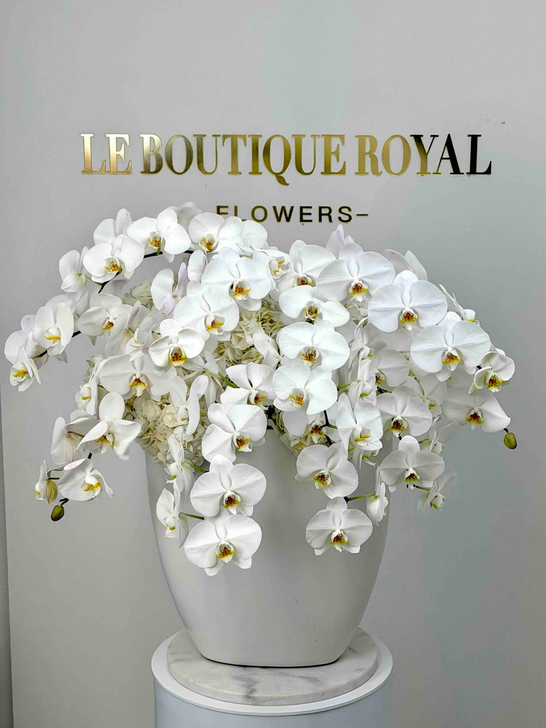 Luxury white Phalaenopsis orchid arrangement with cascading orchid stems and white hydrangeas in a modern white ceramic vase