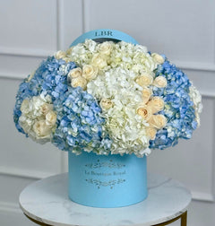 
                    
                      Hortensias azules y blancas en una hermosa caja Le Boutique Royal
                    
                  
