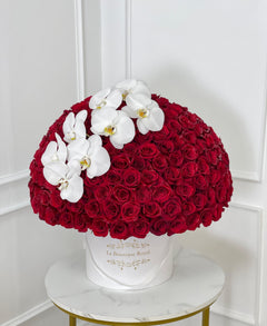 
                    
                      100 Rosas Rojas de Lujo con Orquídeas
                    
                  
