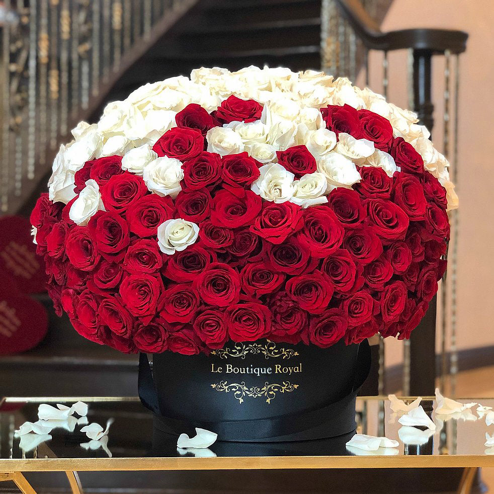 Red & White Ombre Roses in Signature Box – Luxury Flower Arrangement | Le Boutique Royal