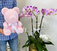 
                    
                      Oso de peluche perla
                    
                  