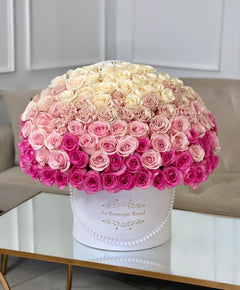 
                    
                      ombre of pink roses
                    
                  